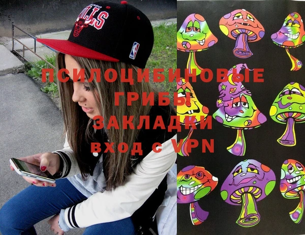хмурый Алзамай