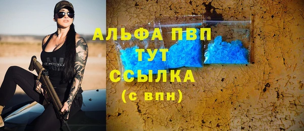 хмурый Алзамай